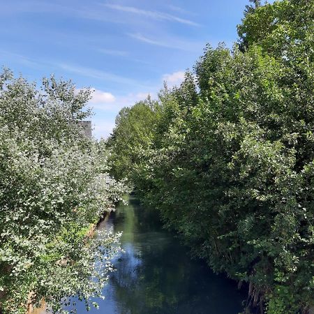 Гостьовий будинок Le Domaine Des Anges Wavrans-sur-l'Aa Екстер'єр фото