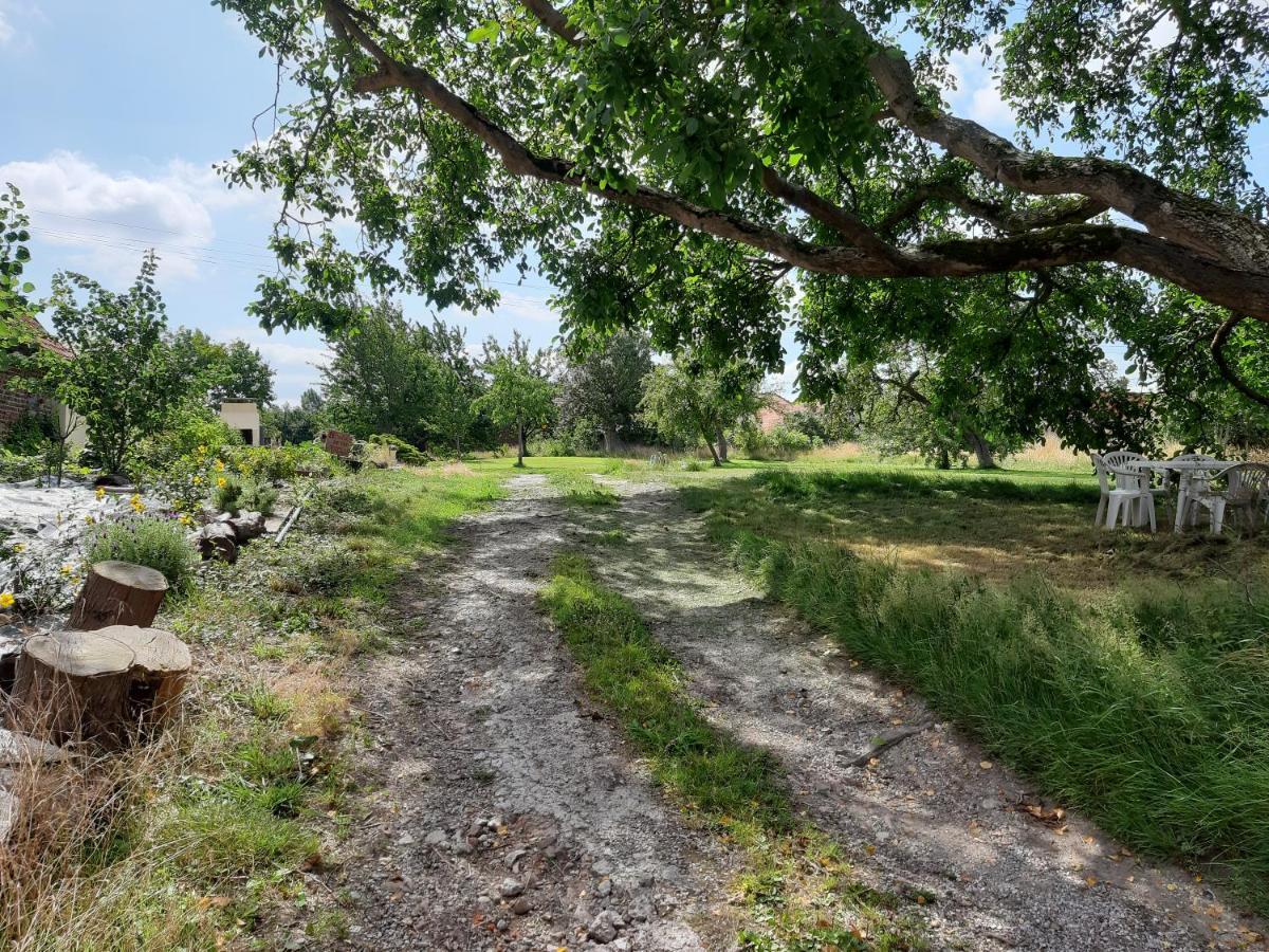 Гостьовий будинок Le Domaine Des Anges Wavrans-sur-l'Aa Екстер'єр фото