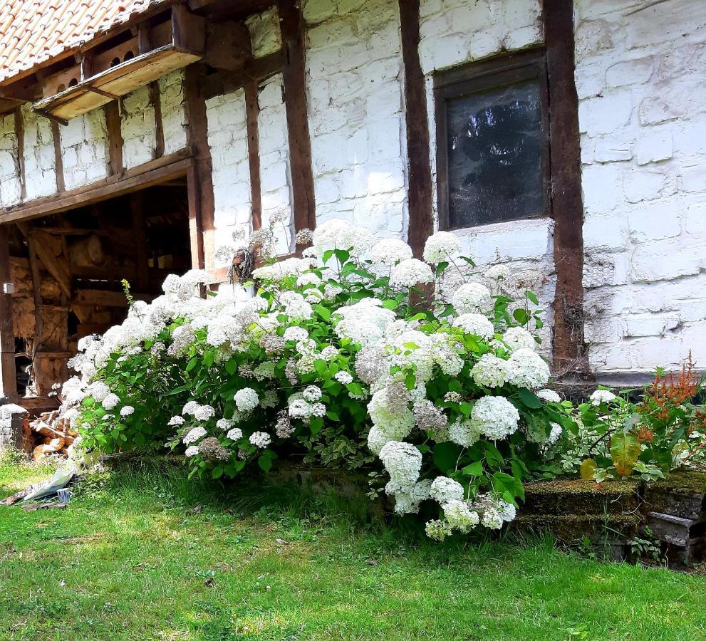 Гостьовий будинок Le Domaine Des Anges Wavrans-sur-l'Aa Екстер'єр фото