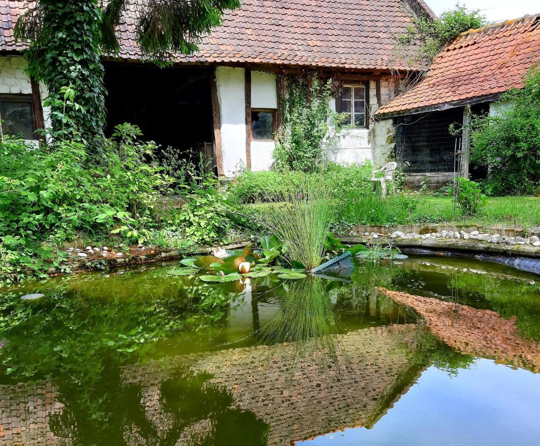 Гостьовий будинок Le Domaine Des Anges Wavrans-sur-l'Aa Екстер'єр фото